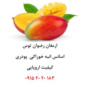 اسانس انبه اروپایی خوراکی پودری دلنسو، وارداتی از اروپا، حلال در آب و مناسب تولید پودر شربت، ژله، نوشیدنی‌های پودری