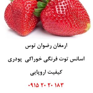 خرید اسانس توت فرنگی اروپایی خوراکی پودری دلنسو، حلال در آب، مناسب تولید پودر شربت، ژله، نوشیدنی‌های پودری، دسر و پاستیل. بسته ۱ کیلوگرمی وارداتی اروپا
